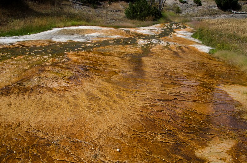 _DSC7525.jpg - Close-up at the Main Terrace of Mammoth Hot Springs