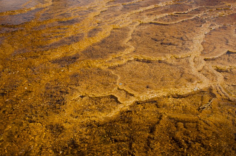 _DSC7527.jpg - Close-up at the Main Terrace of Mammoth Hot Springs