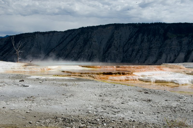 _DSC7528.jpg - Main Terrace at Mammoth Hot Springs