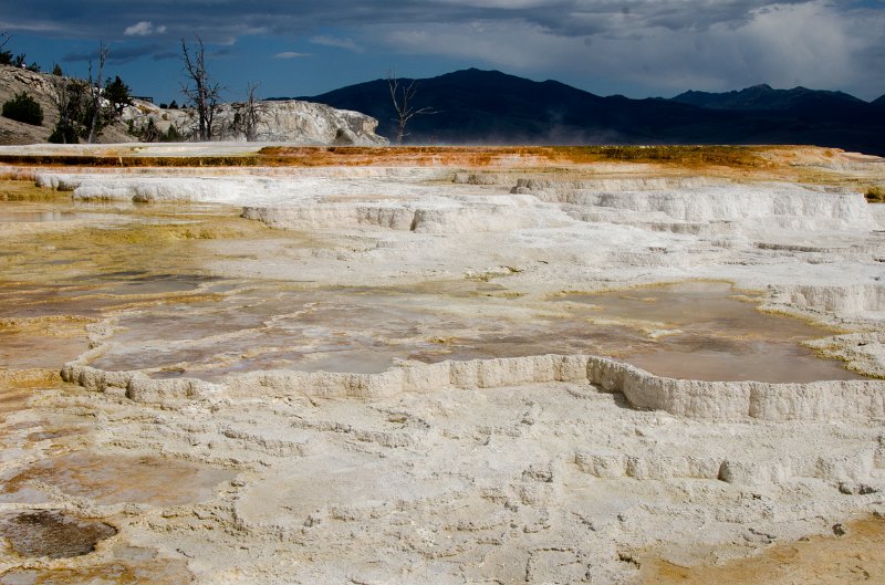 _DSC7530.jpg - Main Terrace at Mammoth Hot Springs