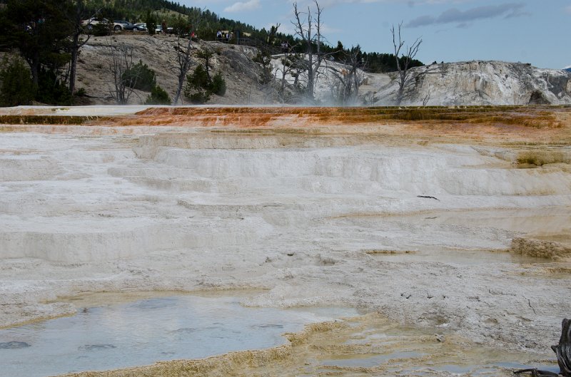 _DSC7531.jpg - Main Terrace at Mammoth Hot Springs