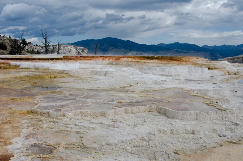 _DSC7538.jpg - Main Terrace at Mammoth Hot Springs