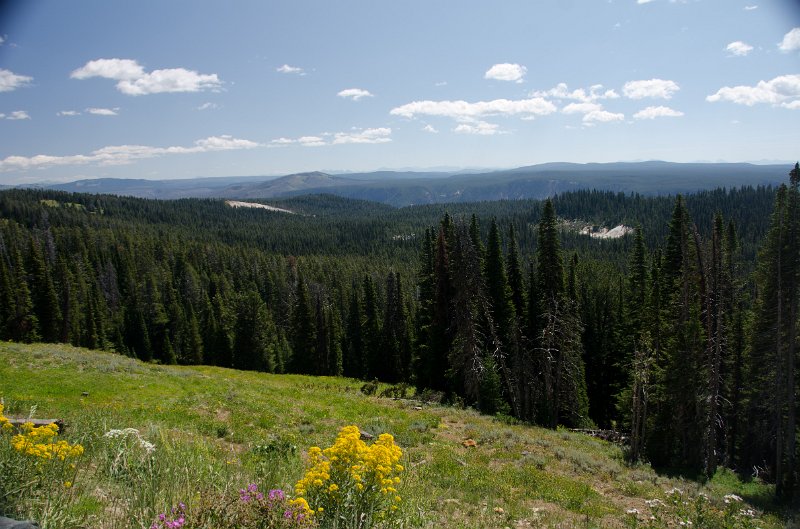 _DSC7637.jpg - Eastern view of the Grand Canyon of the Yellowstone from near Dunraven Pass