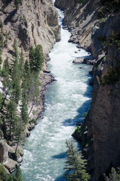 _DSC7681.jpg - The narrows of the Grand Canyon of the Yellowstone seen from the Calcite Springs Overlook