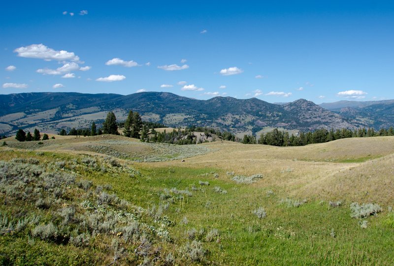 _DSC7685.jpg - North view toward Hellroaring Mtn from Blacktail Plateau Drive