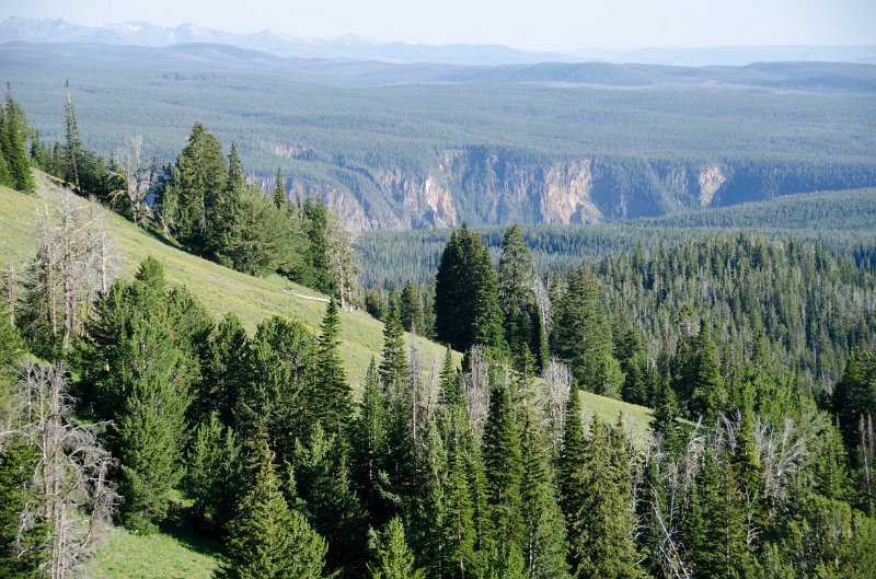 _DSC7706.jpg - A view into the Grand Canyon of the Yellowstone from Mt Washburn