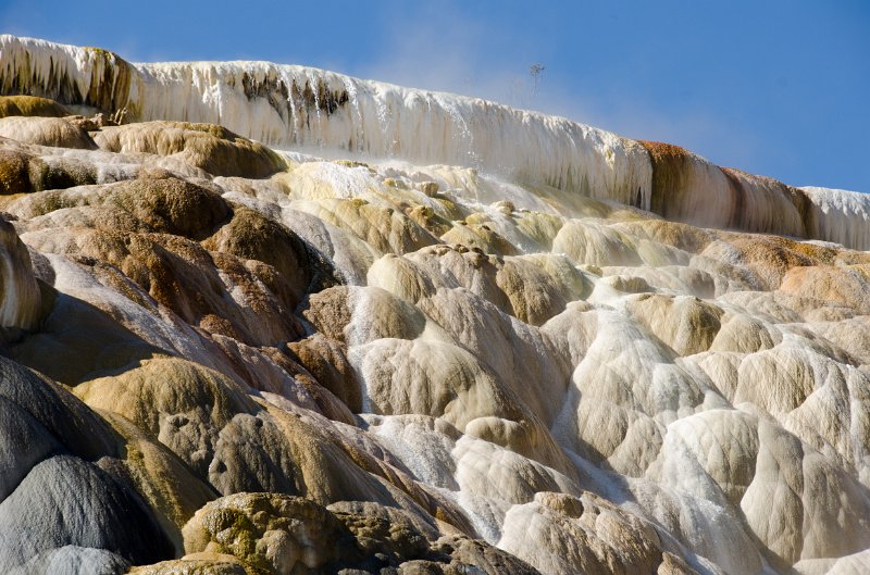 _DSC7733.jpg - Close-up at Pallete Spring