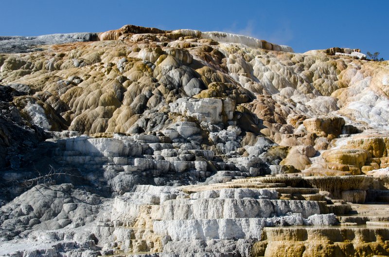 _DSC7735.jpg - Pallete Spring at Mammoth Hot Springs