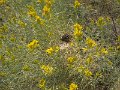 IMG_0185