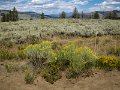 IMG_0189