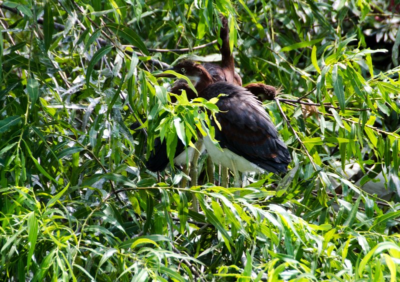 DSC_9043.jpg