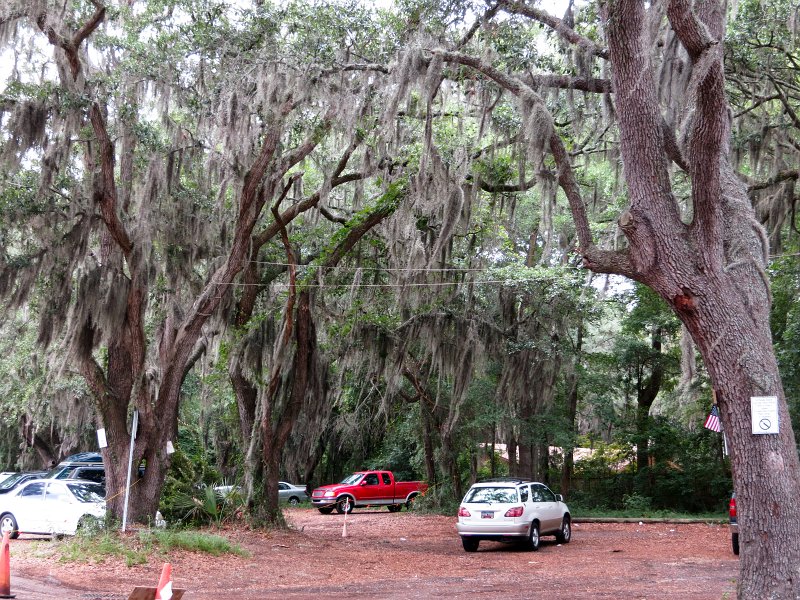 IMG_0020.jpg - Parking area for kayaking at Broad Creek Marina