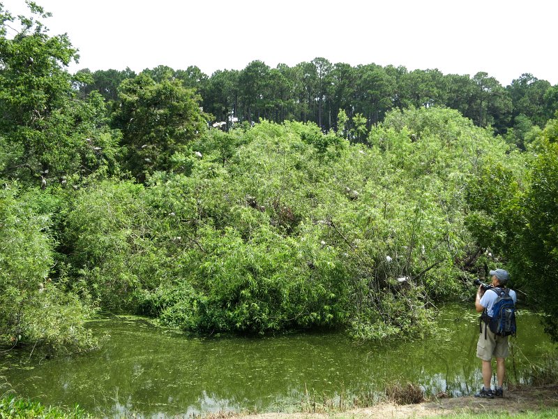 IMG_0080.jpg - Richard checking out Ibis Pond.