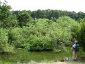 IMG_0080