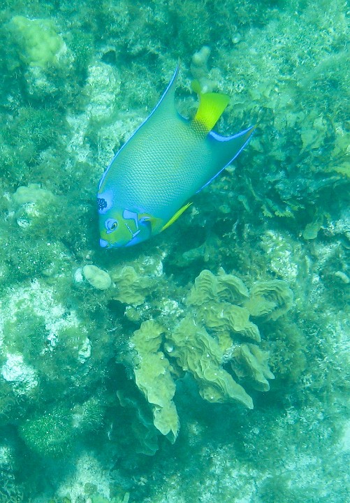 IMG 0018