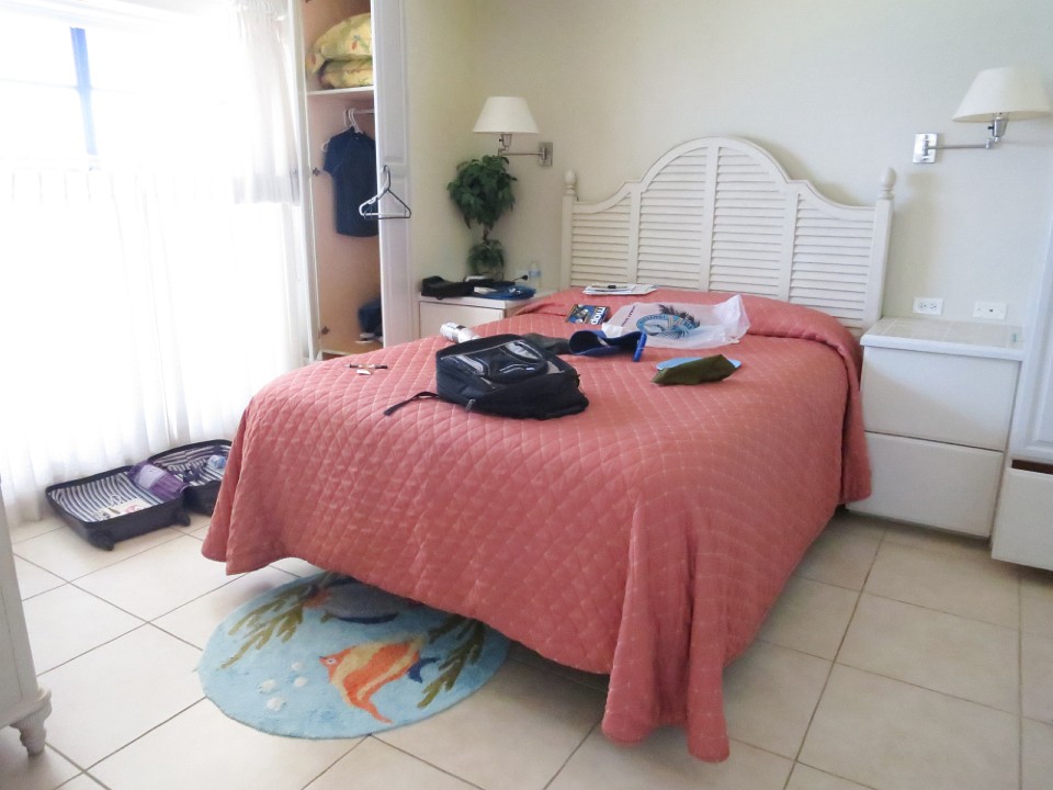 IMG 1653
