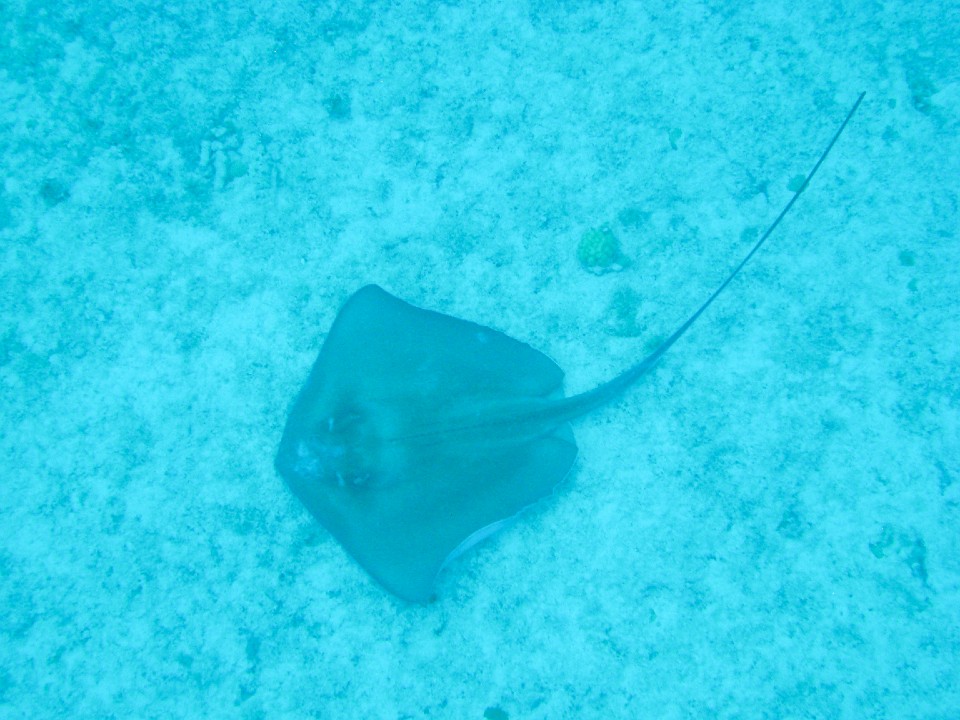 IMG 5463