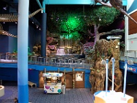 DSC 0643  Ripley's Aquarium of the Smokies