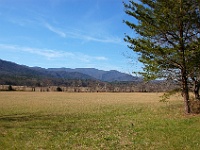 DSC 0758  View toward Gregory Bald from Cades Cove