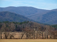 DSC 0761  Zooming on the "bald" of Gregory Bald where we viewed Cades Cove yesterday