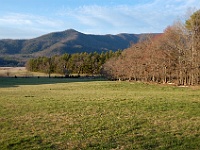 DSC 0882  View to the north across Cades Cove