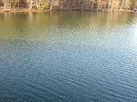 IMG 2422  Fall Creek Lake