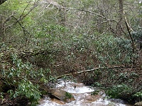 IMG 2528  Fall Creek along the Woodland Trail