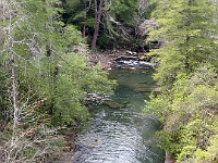 IMG 2608  Piney Creek seen from the suspension bridge