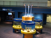 IMG 2746  Ripley's Aquarium of the Smokies