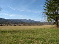 IMG 2887  View across Cades Cove toward Gregory Bald; no ice today