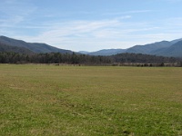 IMG 2916  View to the east in Cades Cove
