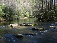 IMG 2977  Abrams Creek