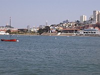 DSC 2148  View of San Francisco from Maritime Park pier : flowers