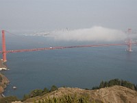 DSC 2285  Fog over the Golden Gate Bridge seen from the Marin Headlands : flowers