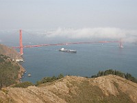 DSC 2286  Fog over the Golden Gate Bridge seen from the Marin Headlands : flowers