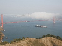 DSC 2287  Fog over the Golden Gate Bridge seen from the Marin Headlands : flowers