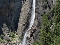DSC 2747  Lower Yosemite Falls : flowers