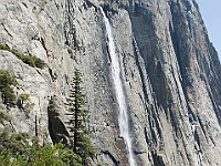 DSC 2857  Upper Yosemite Falls : flowers