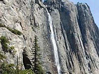 DSC 2858  Upper Yosemite Falls : flowers