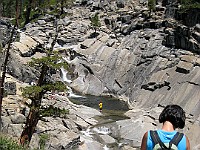 IMG 2245  Yosemite Creek just above the upper falls : flowers