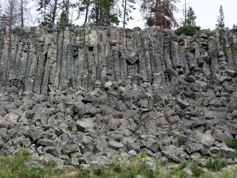 IMG_4984.jpg - Sheepeater Cliff basalt columns