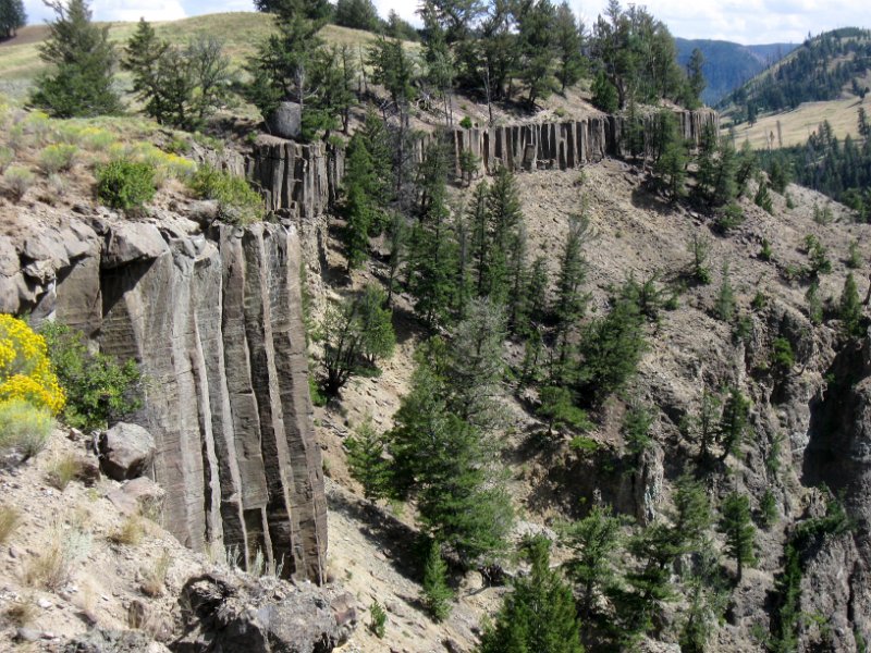 IMG_5152.jpg - Basalt columns seen from the Yellowstone River Picnic Area Trail