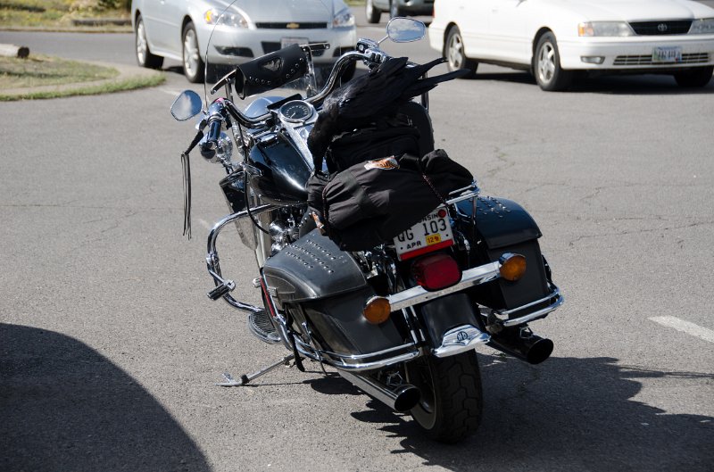 _DSC7195.jpg - A raven unzipping the lunch bag on the back of a motorcycle