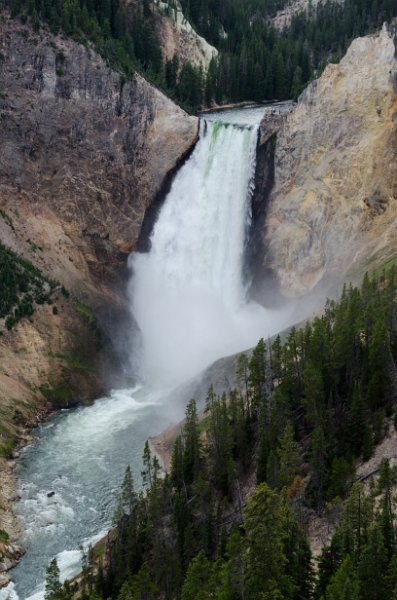 _DSC7444.jpg - View of the Lower Yellowstone Falls from Lookout Point