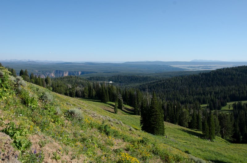 _DSC7704.jpg - View toward Grand Canyon of the Yellowstone from Mt Washburn