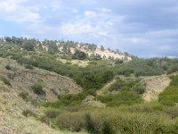 DSC 0066  Panorama of Pulpit Rock area