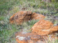 DSC 0075  Colorful rocks in Pulpit Rock Open Space